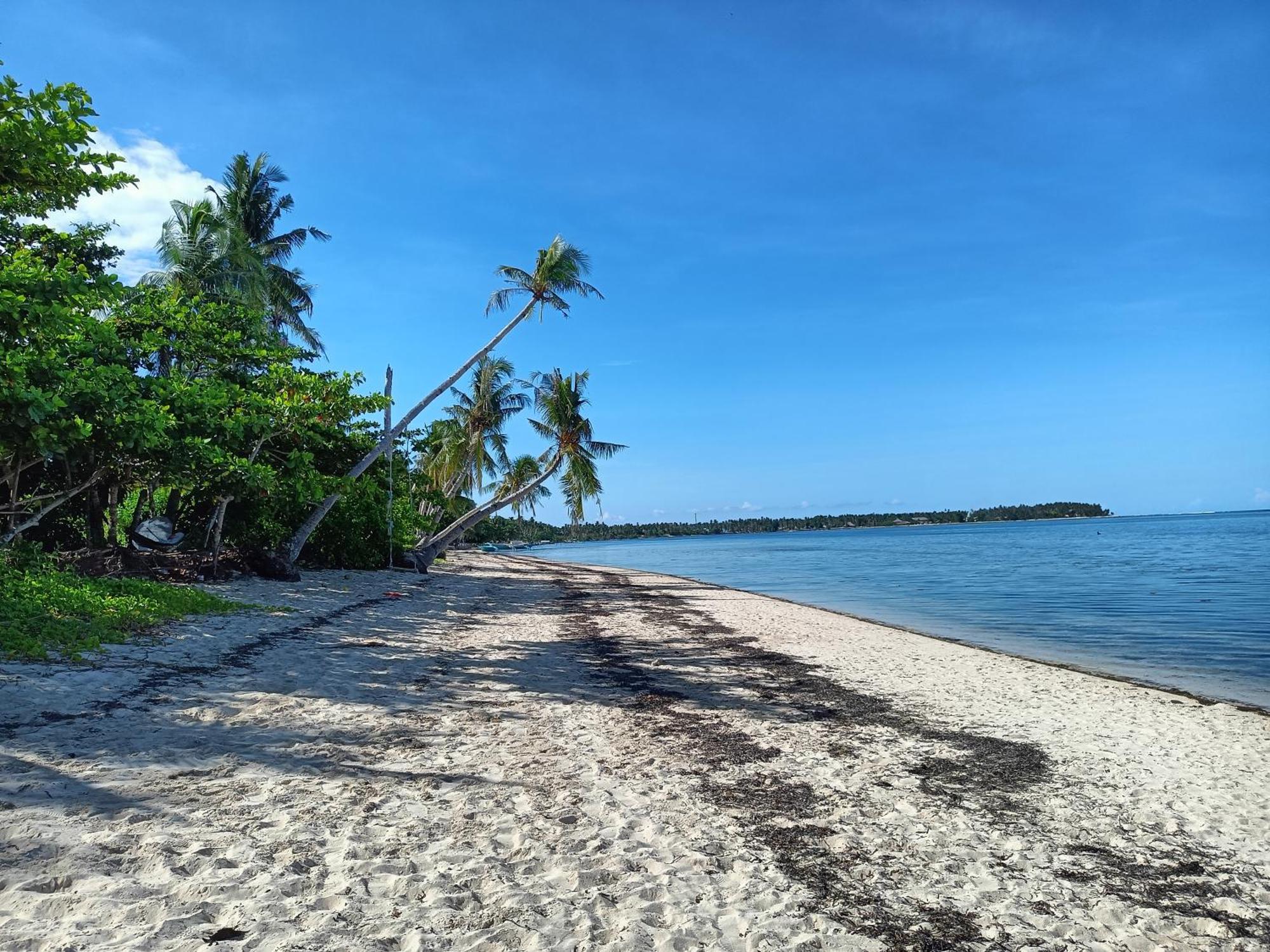 Inn Vivo Siargao