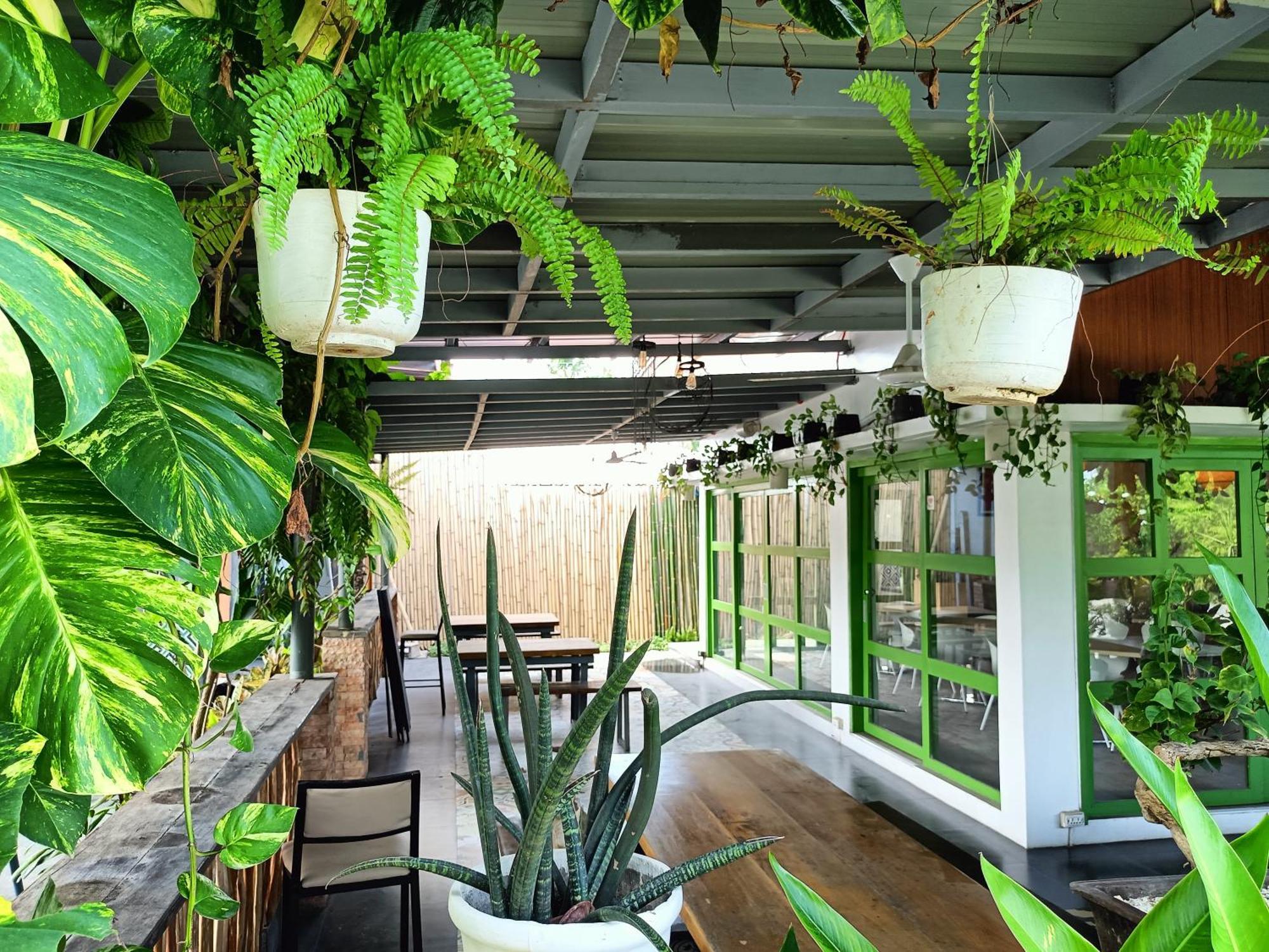bahay-panuluyan Vivo Siargao 2*