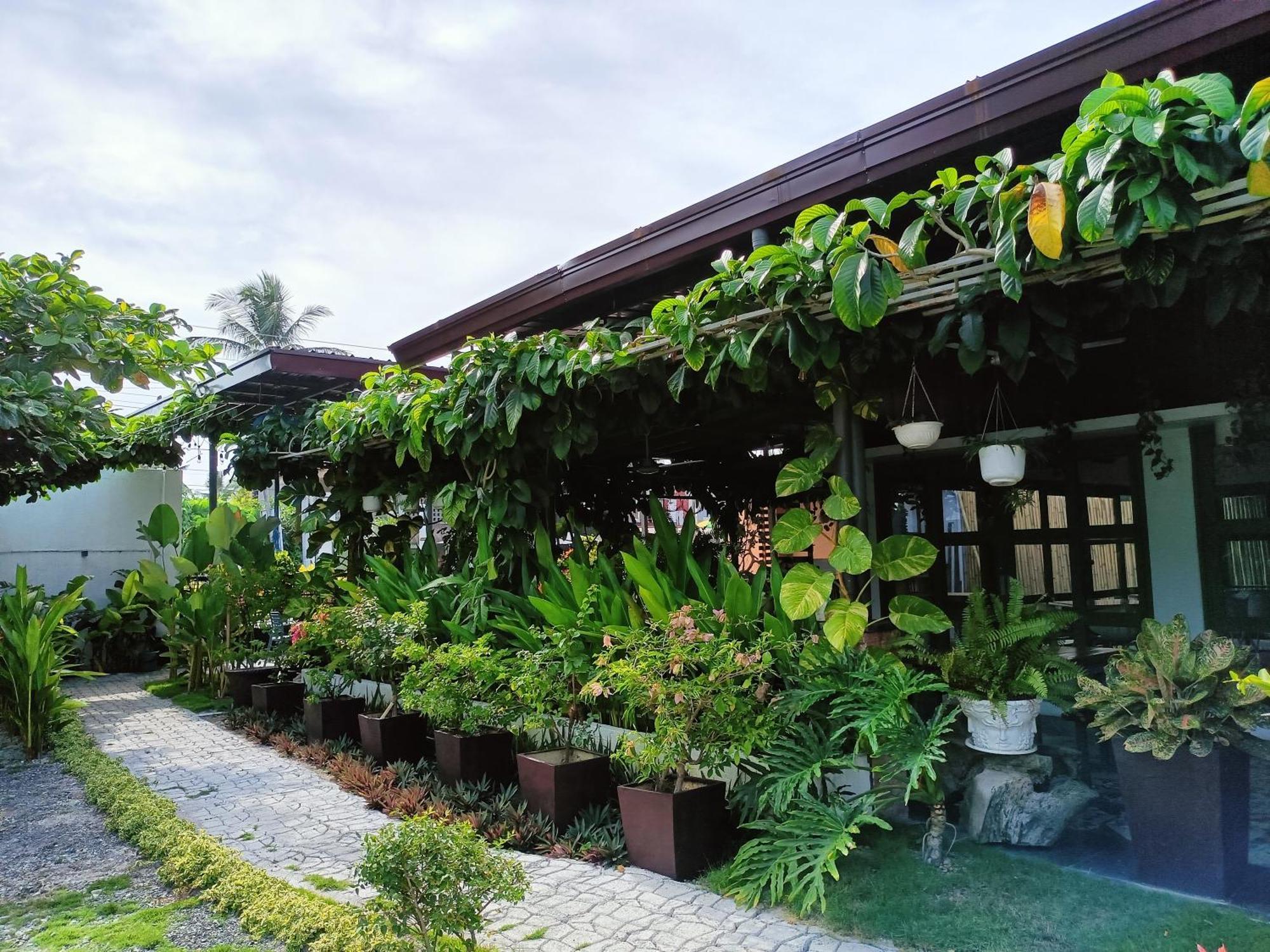 Vivo Siargao 2* General Luna (Surigao del Norte)
