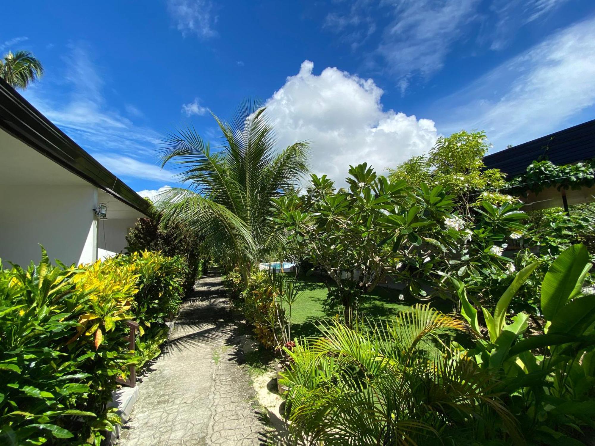 Vivo Siargao