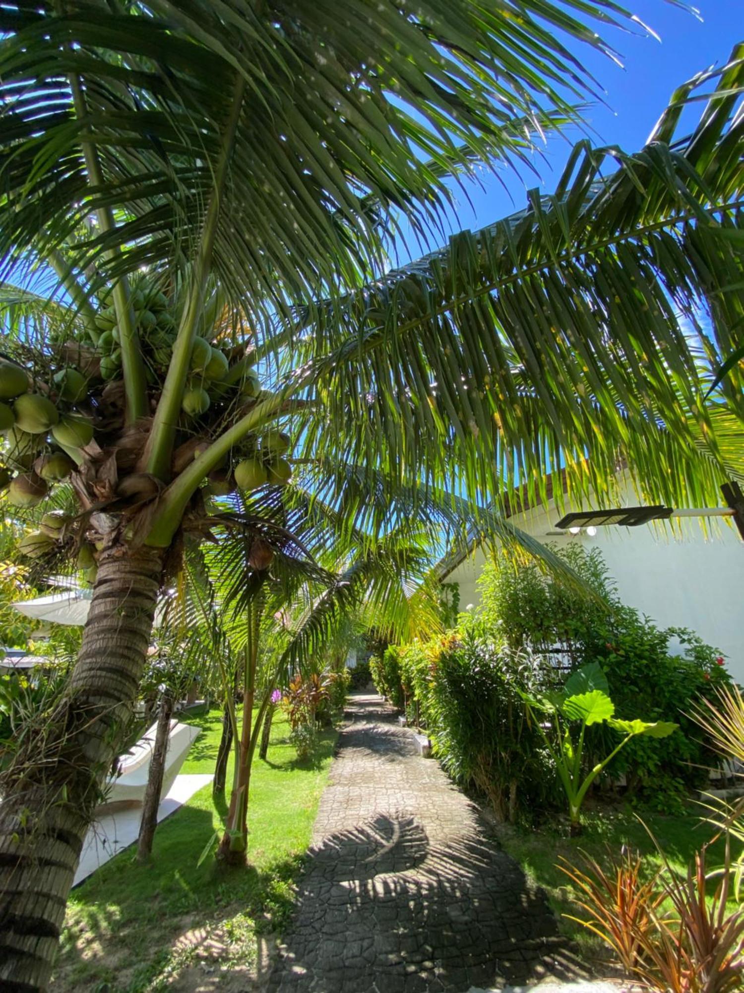 Vivo Siargao