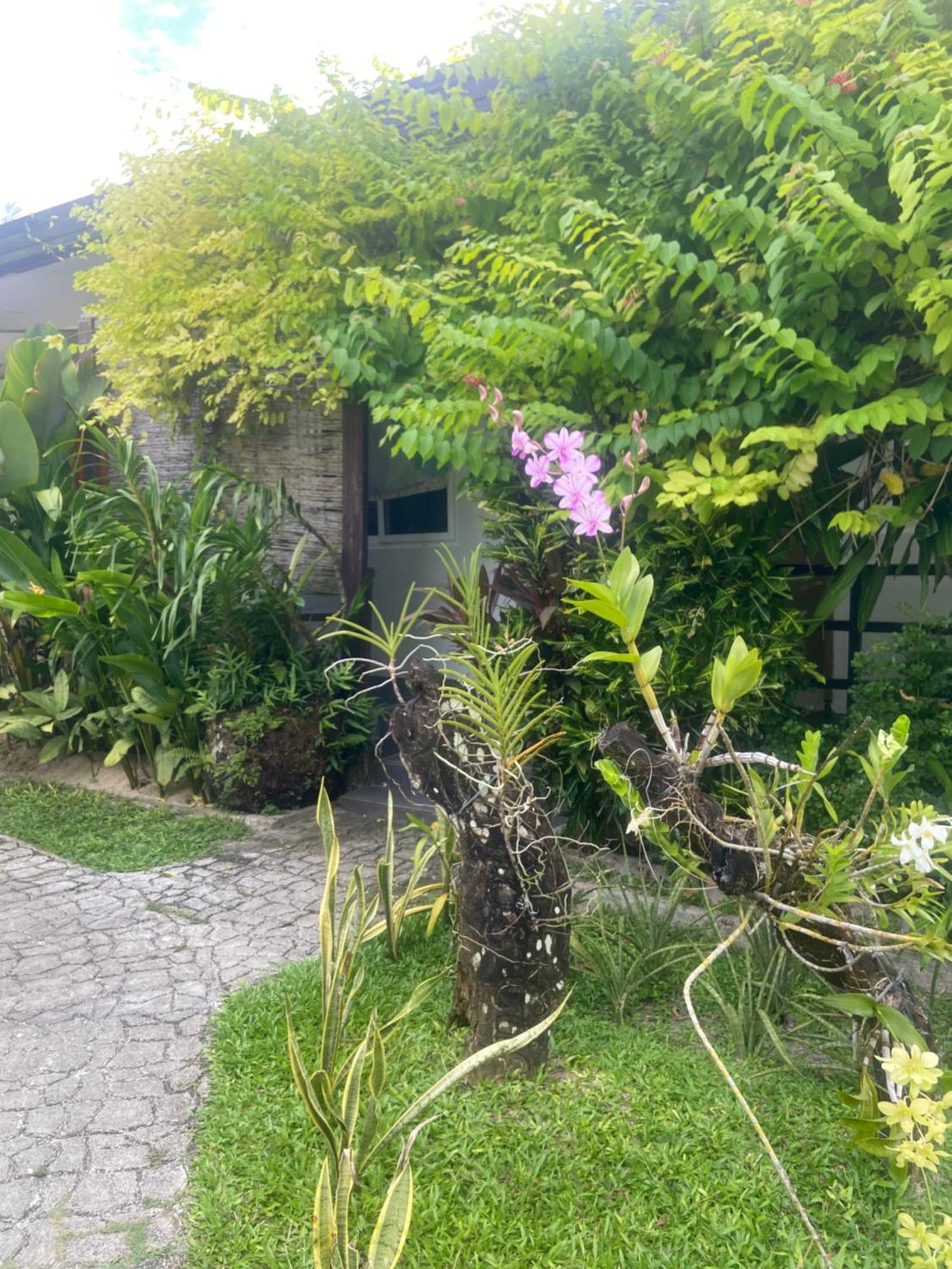 Vivo Siargao bahay-panuluyan 2*