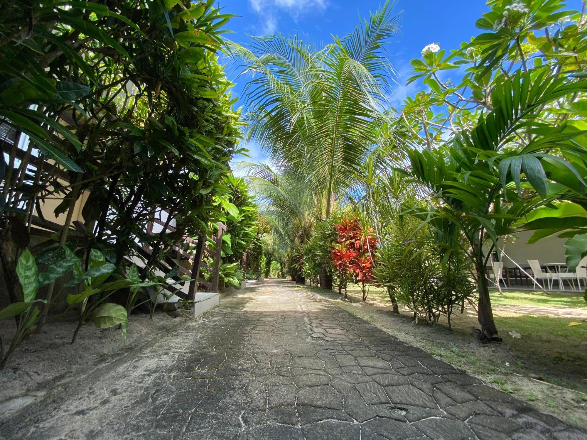 bahay-panuluyan Vivo Siargao General Luna (Surigao del Norte)